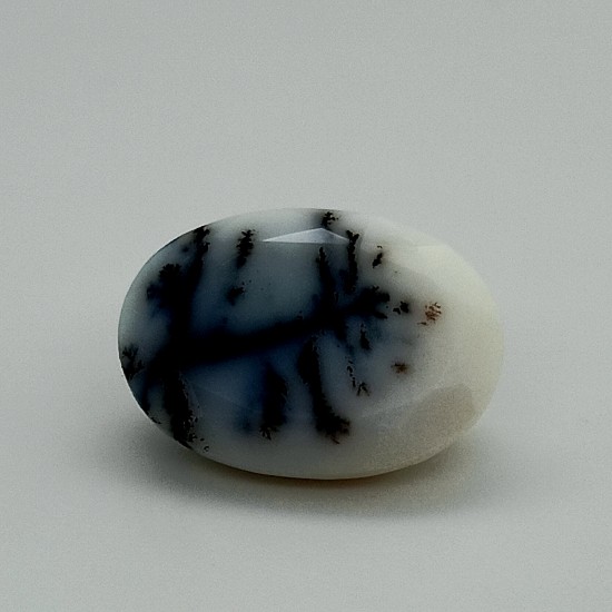 Dendrite 8.34 Ct Certified Dendrite 8.34 Ct Certified